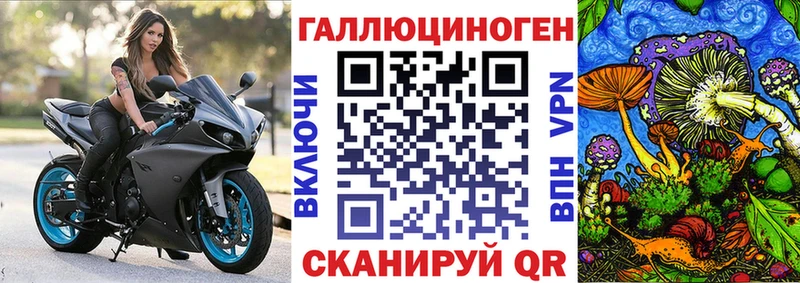 Купить закладки  Киреевск  Псилоцибиновые грибы ЛСД 