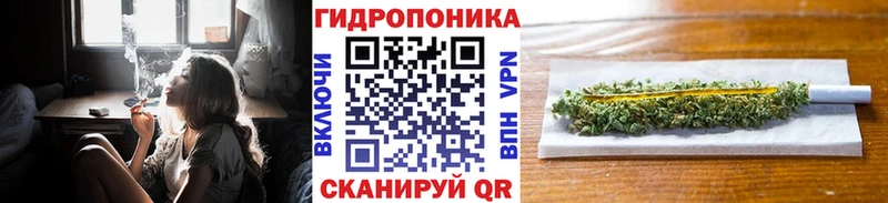 Каннабис White Widow  Купить закладки  Киреевск 